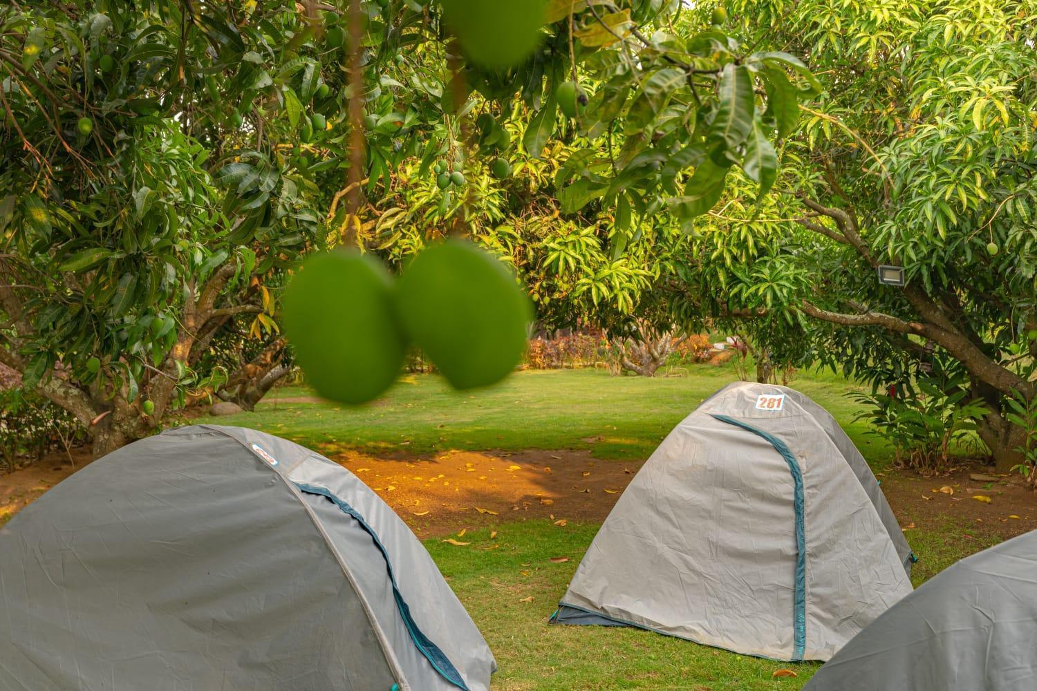 Q Mango Resort Rāmanagaram Eksteriør bilde